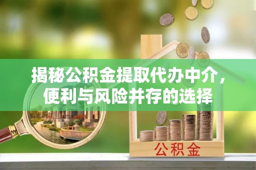 大甲揭秘公积金提取代办中介，便利与风险并存的选择