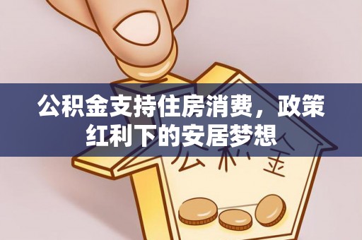 大甲公积金支持住房消费，政策红利下的安居梦想