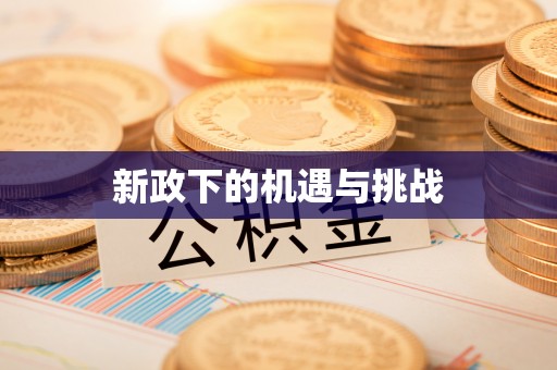 大甲新政下的机遇与挑战