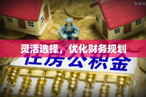 大甲灵活选择，优化财务规划