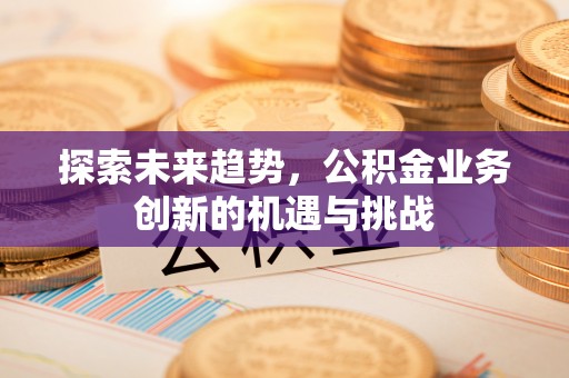 大甲探索未来趋势，公积金业务创新的机遇与挑战