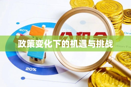大甲政策变化下的机遇与挑战