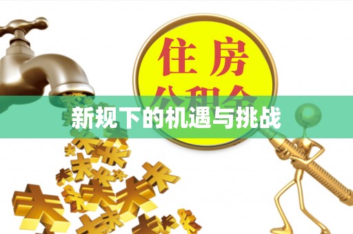 大甲新规下的机遇与挑战