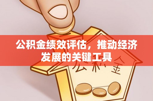 大甲公积金绩效评估，推动经济发展的关键工具