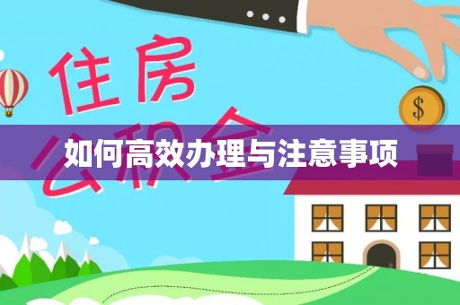 大甲如何高效办理与注意事项