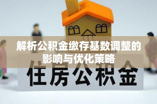 大甲解析公积金缴存基数调整的影响与优化策略
