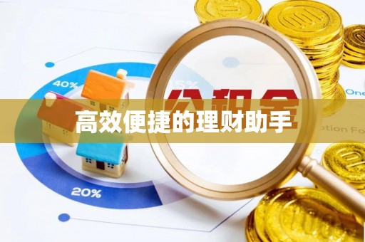 大甲高效便捷的理财助手