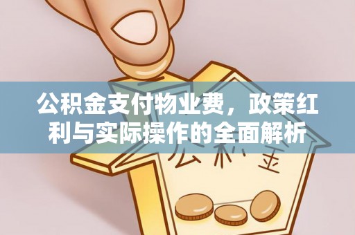 大甲公积金支付物业费，政策红利与实际操作的全面解析