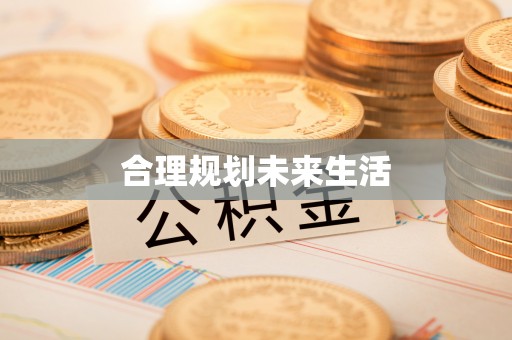 大甲合理规划未来生活
