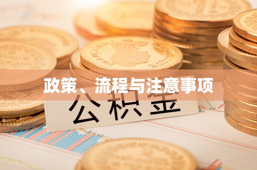 大甲政策、流程与注意事项