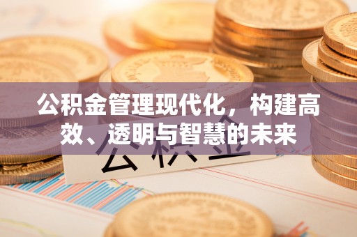 大甲公积金管理现代化，构建高效、透明与智慧的未来