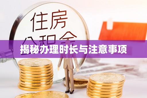大甲揭秘办理时长与注意事项