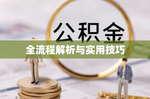 大甲全流程解析与实用技巧