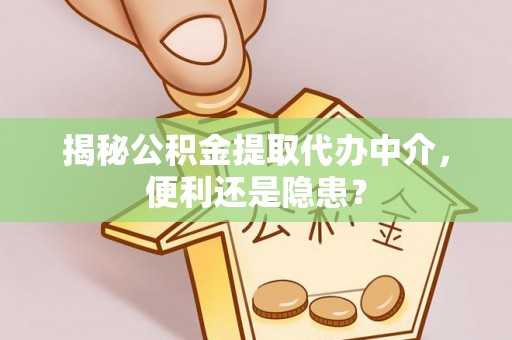 大甲揭秘公积金提取代办中介，便利还是隐患？