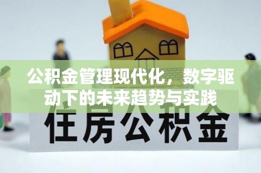 大甲公积金管理现代化，数字驱动下的未来趋势与实践
