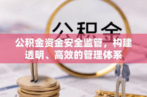 大甲公积金资金安全监管，构建透明、高效的管理体系