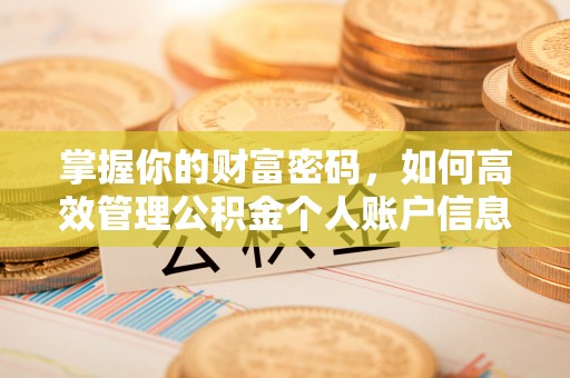 大甲掌握你的财富密码，如何高效管理公积金个人账户信息
