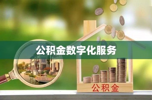 大甲公积金数字化服务