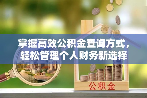 大甲掌握高效公积金查询方式，轻松管理个人财务新选择