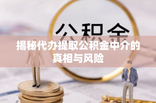 大甲揭秘代办提取公积金中介的真相与风险