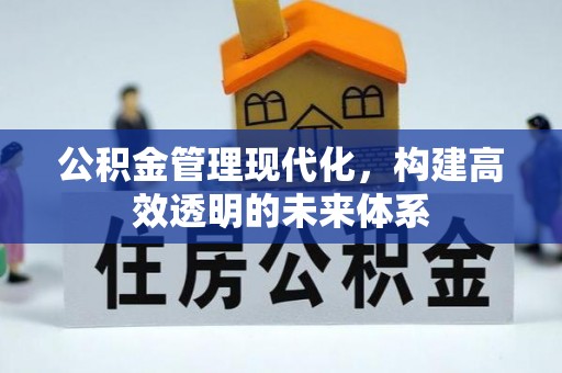 大甲公积金管理现代化，构建高效透明的未来体系