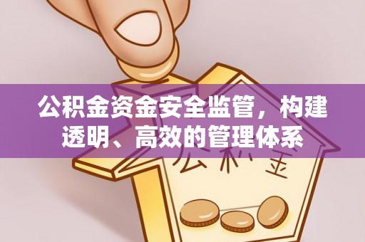 大甲公积金资金安全监管，构建透明、高效的管理体系