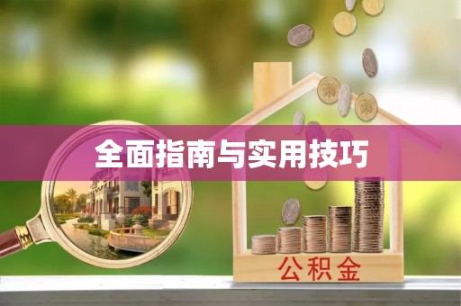 大甲全面指南与实用技巧