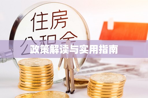 大甲政策解读与实用指南