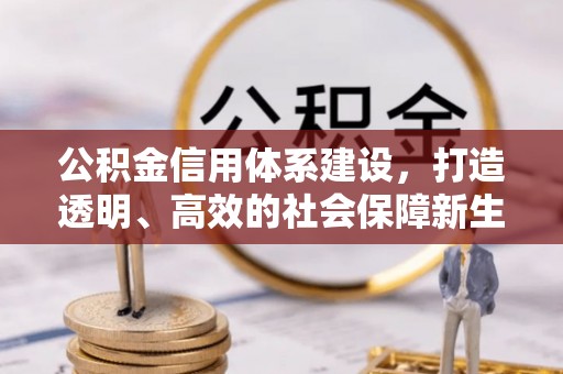 大甲公积金信用体系建设，打造透明、高效的社会保障新生态