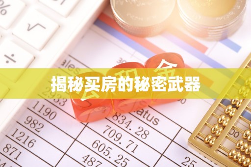 大甲揭秘买房的秘密武器