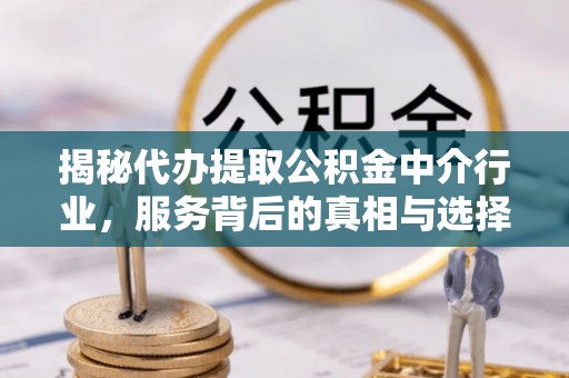 大甲揭秘代办提取公积金中介行业，服务背后的真相与选择指南