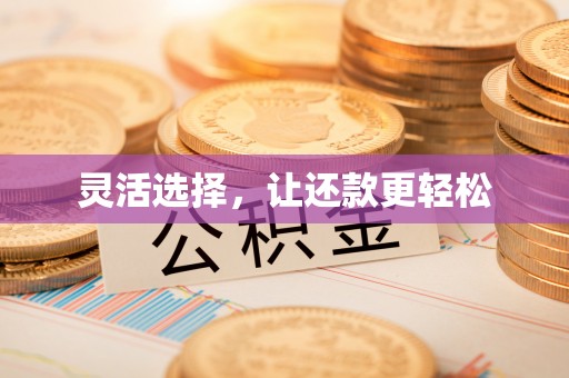 大甲灵活选择，让还款更轻松