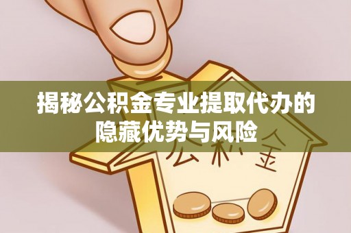 大甲揭秘公积金专业提取代办的隐藏优势与风险