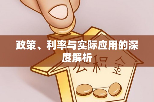 大甲政策、利率与实际应用的深度解析