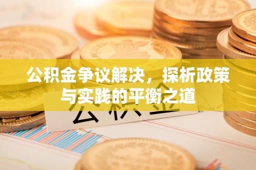 大甲公积金争议解决，探析政策与实践的平衡之道