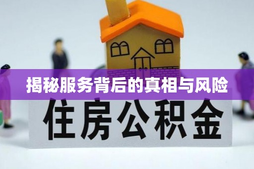 大甲揭秘服务背后的真相与风险
