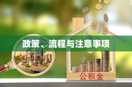 大甲政策、流程与注意事项