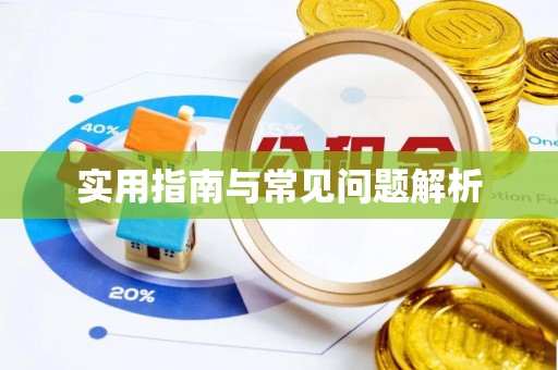 大甲实用指南与常见问题解析