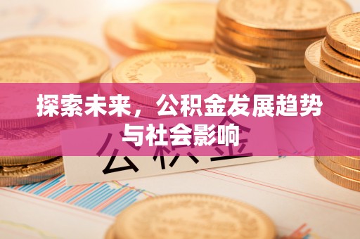 大甲探索未来，公积金发展趋势与社会影响