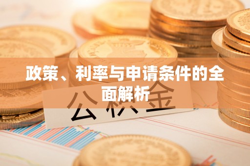大甲政策、利率与申请条件的全面解析