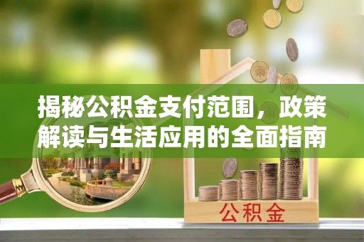 大甲揭秘公积金支付范围，政策解读与生活应用的全面指南