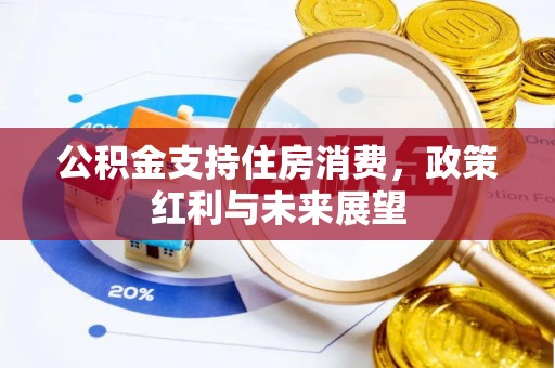 大甲公积金支持住房消费，政策红利与未来展望