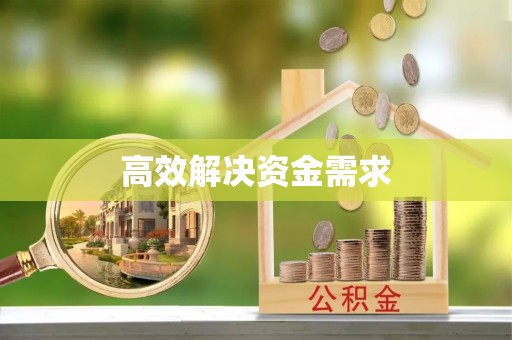 大甲高效解决资金需求