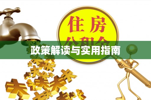 大甲政策解读与实用指南