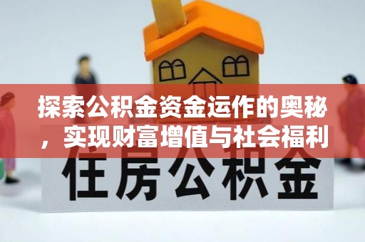 大甲探索公积金资金运作的奥秘，实现财富增值与社会福利双赢