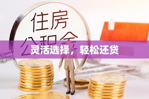 大甲灵活选择，轻松还贷