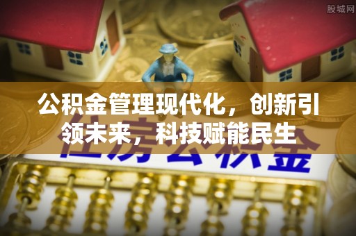 大甲公积金管理现代化，创新引领未来，科技赋能民生