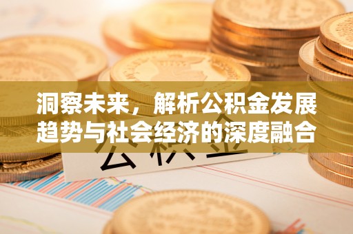 大甲洞察未来，解析公积金发展趋势与社会经济的深度融合