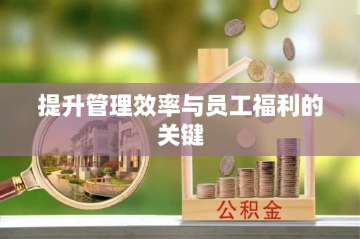大甲提升管理效率与员工福利的关键