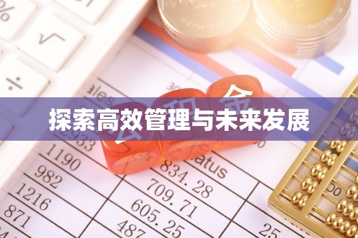 大甲探索高效管理与未来发展